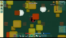 The North Star and more Starve.io Experience