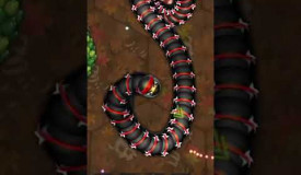 Little big snake video wormszone.io poro gameplay