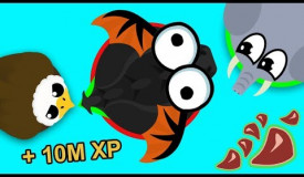 How to TEAM in MOPE.IO and get a BLACK DRAGON