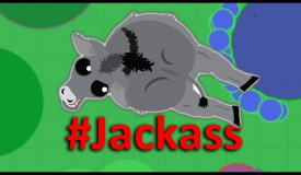 MOPE.IO // *NEW* #Jackass Donkey #DonOfMope // TEASER #87