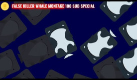 deeeep.io|100 subs special-false killer whale